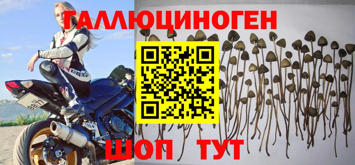 Галлюциногенные грибы Magic Shrooms Черняховск